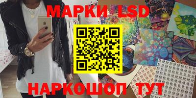 спиды Кинель