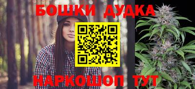спиды Кинель