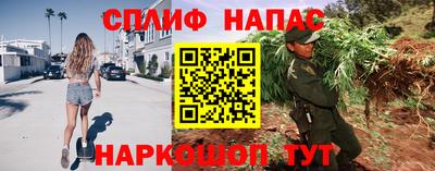 прущие грибы Кингисепп