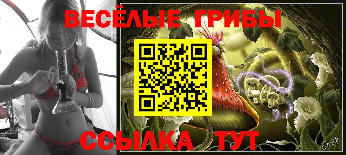 Галлюциногенные грибы Psilocybine cubensis Элиста
